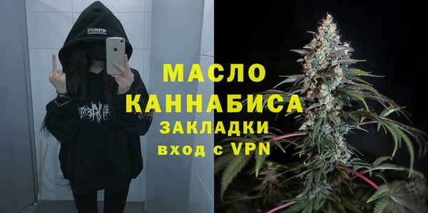 стаф Майский