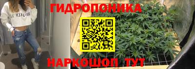ГАЛЛЮЦИНОГЕННЫЕ ГРИБЫ Гагарин