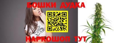 дурь Гай