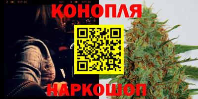 дурь Гай