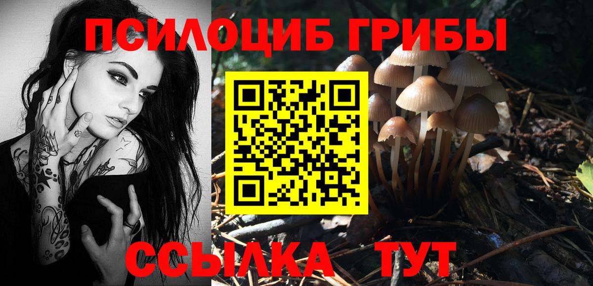 Галлюциногенные грибы Psilocybine cubensis Йошкар-Ола