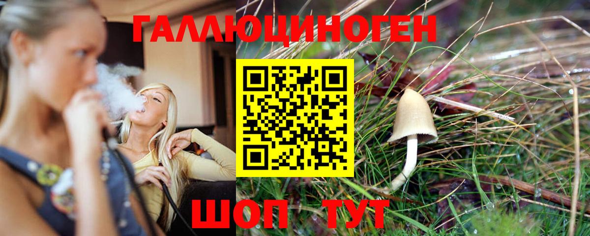 Галлюциногенные грибы прущие грибы  Галлюциногенные грибы Psilocybe  Йошкар-Ола  Вход с VPN 